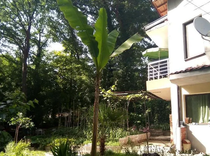 בית הארחה Apartment's Pita & Mare